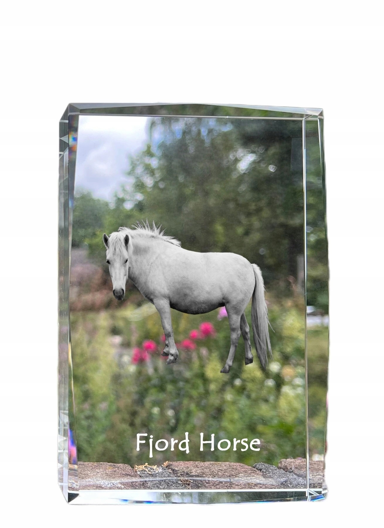 Kôň fjordský, fotografia v kryštáli, suvenír, trofej, poďakovanie