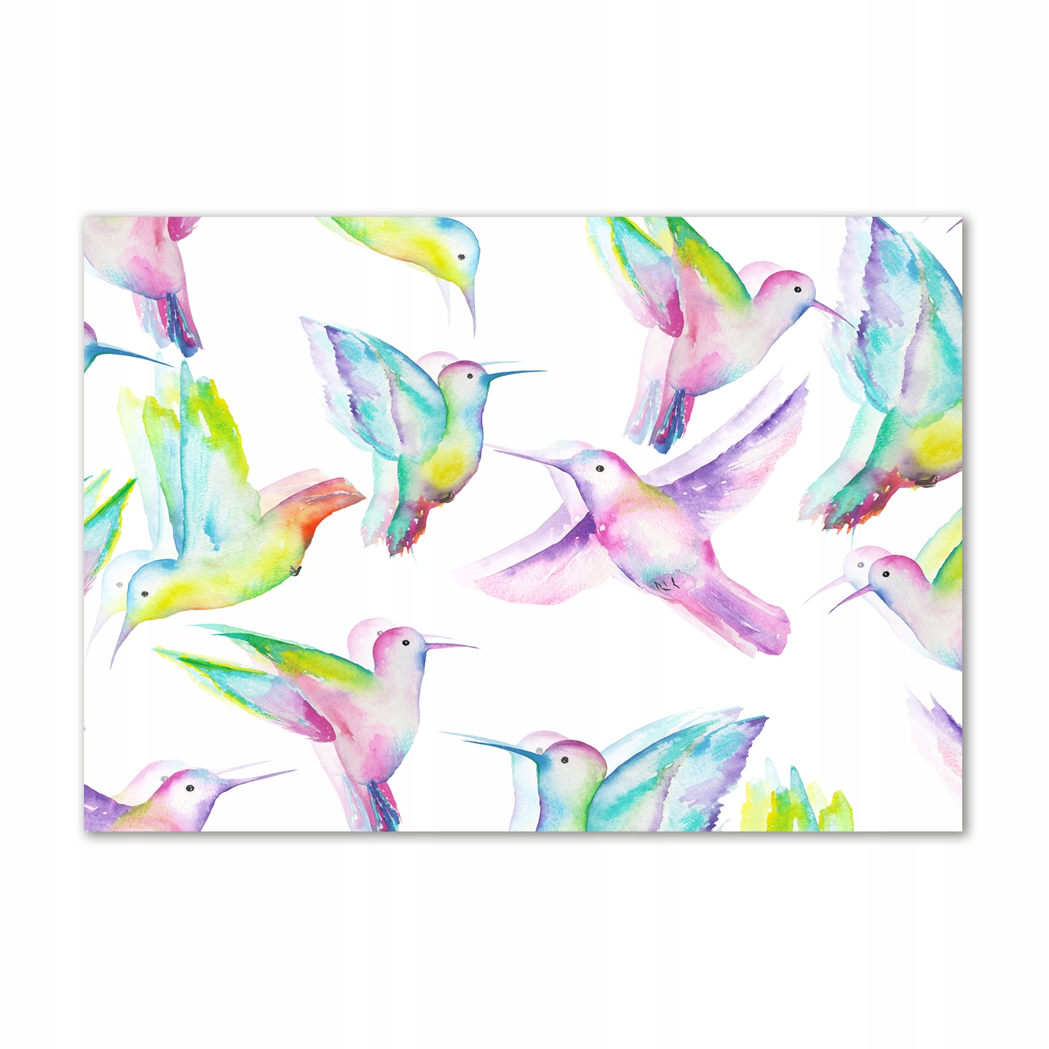 

Obraz zdjęcie na scianę akrylowy Kolibry 100x70 cm