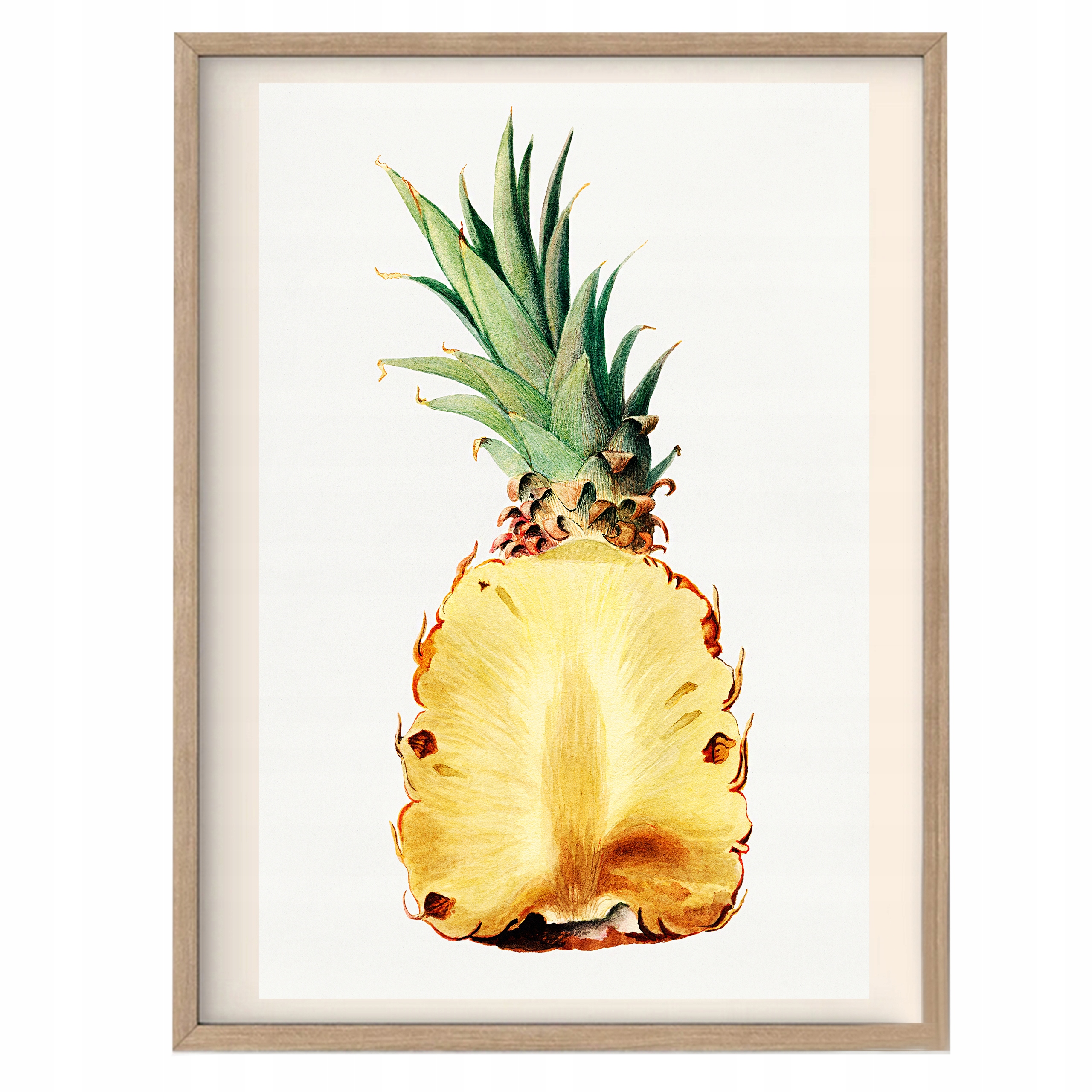 

Plakat do Kuchni Ananas Vintage Retro A3