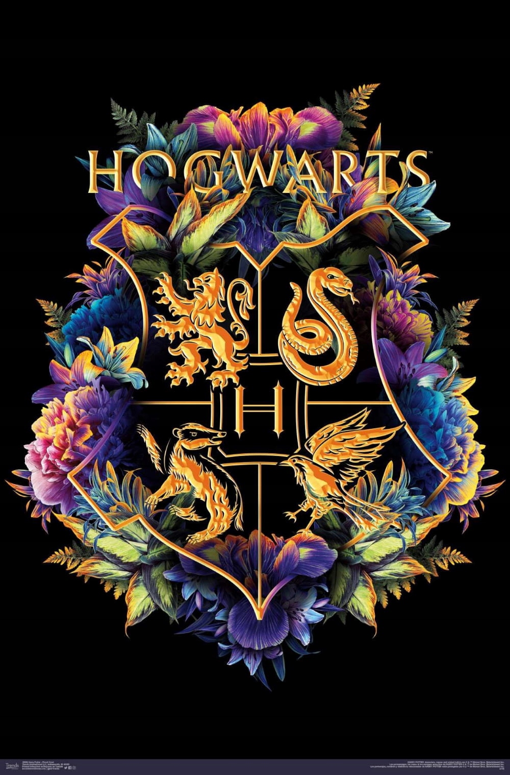 PLAKAT FILMOWY Harry Potter Hogwart 100x70 cm #1