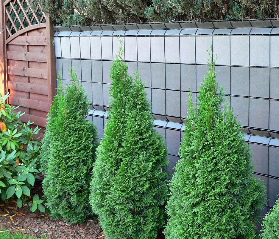 Taśma ogrodzeniowa 4,7cm x 48m beżowa Producent Progresja