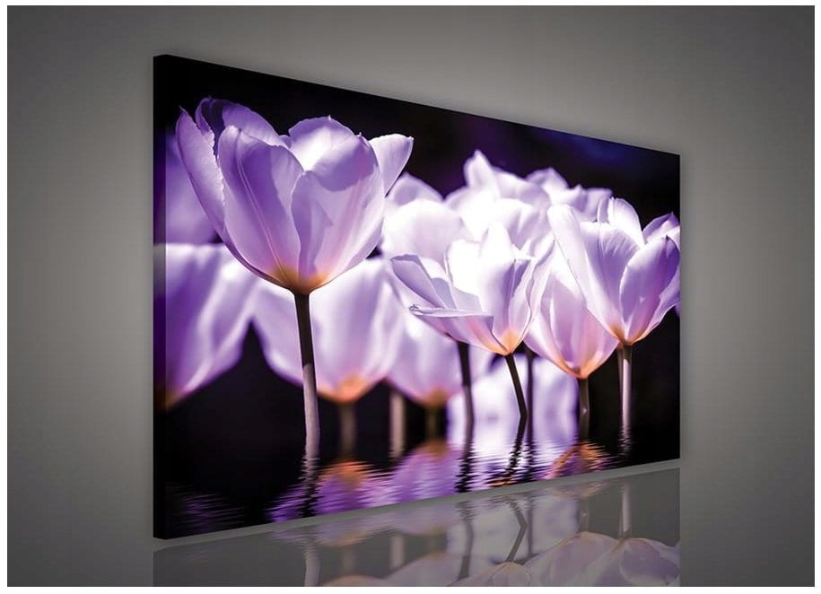 Obraz 100x75 Jemnost tulipánů fialová bílá jarní květiny klid