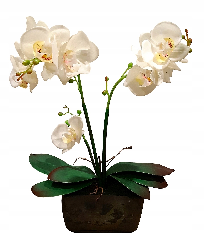 

Storczyk silikonowy w doniczce Duży Orchidea 45cm