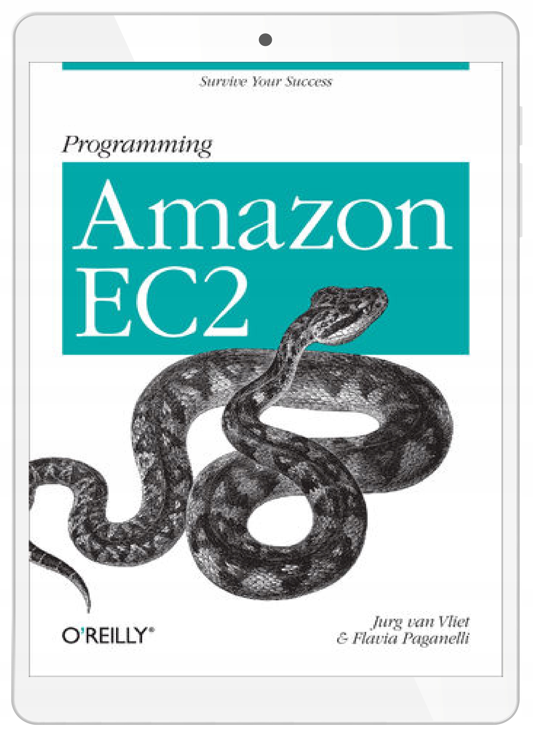 Programming Amazon EC2. Survive your Success