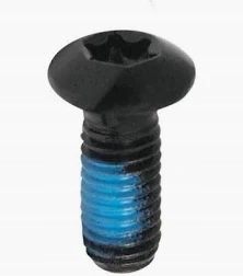 Śruba tarczy hamulca rowerowego M5x10 czarna na klucz Torx 25