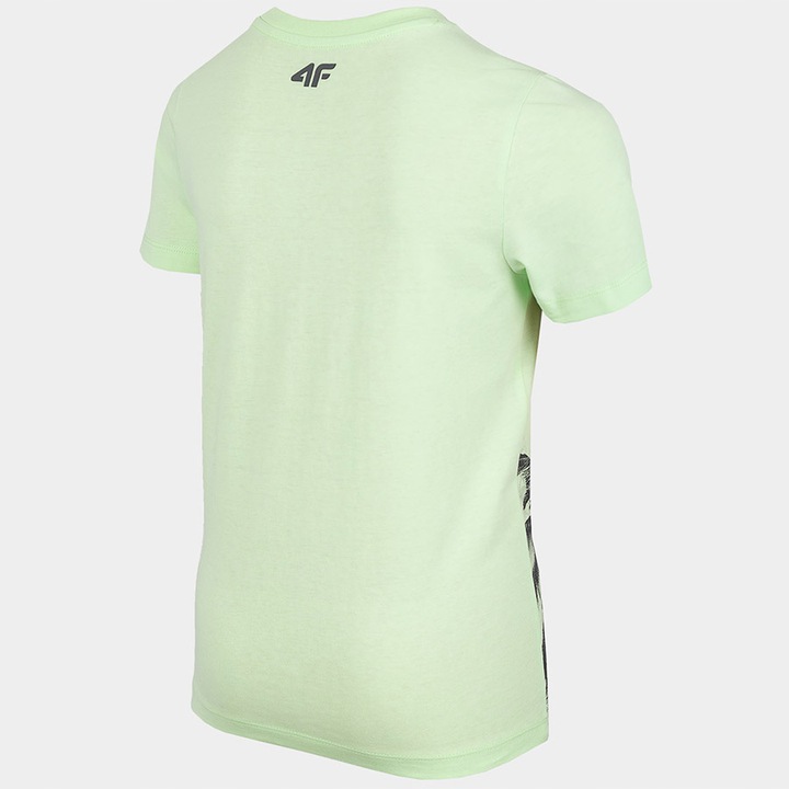 KOSZULKA CHŁOPIĘCA 4F T-SHIRT BAWEŁNA 164 Płeć chłopcy