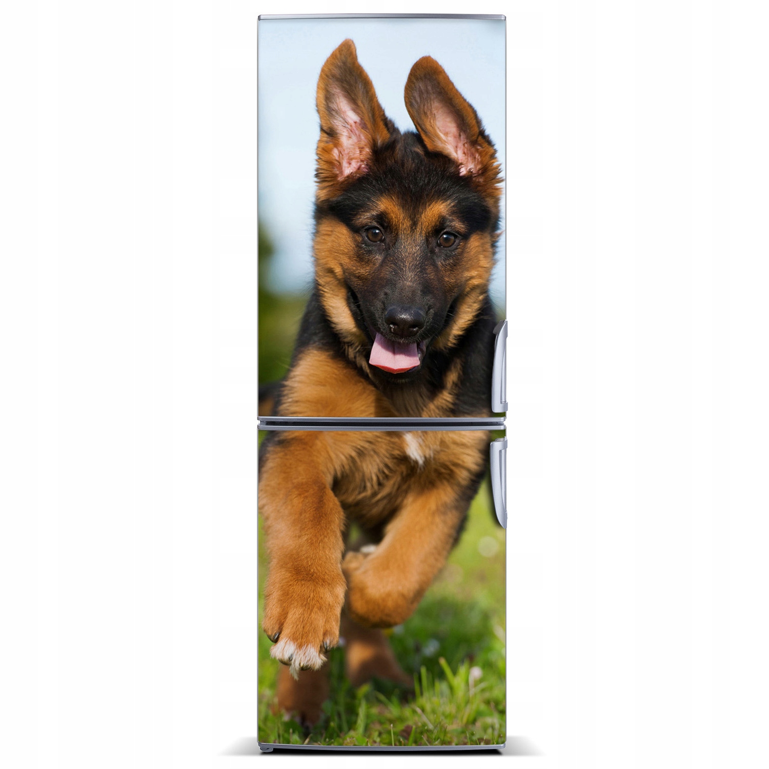 

Foto Magnes na lodówkę Owczarek niemiecki 60x180