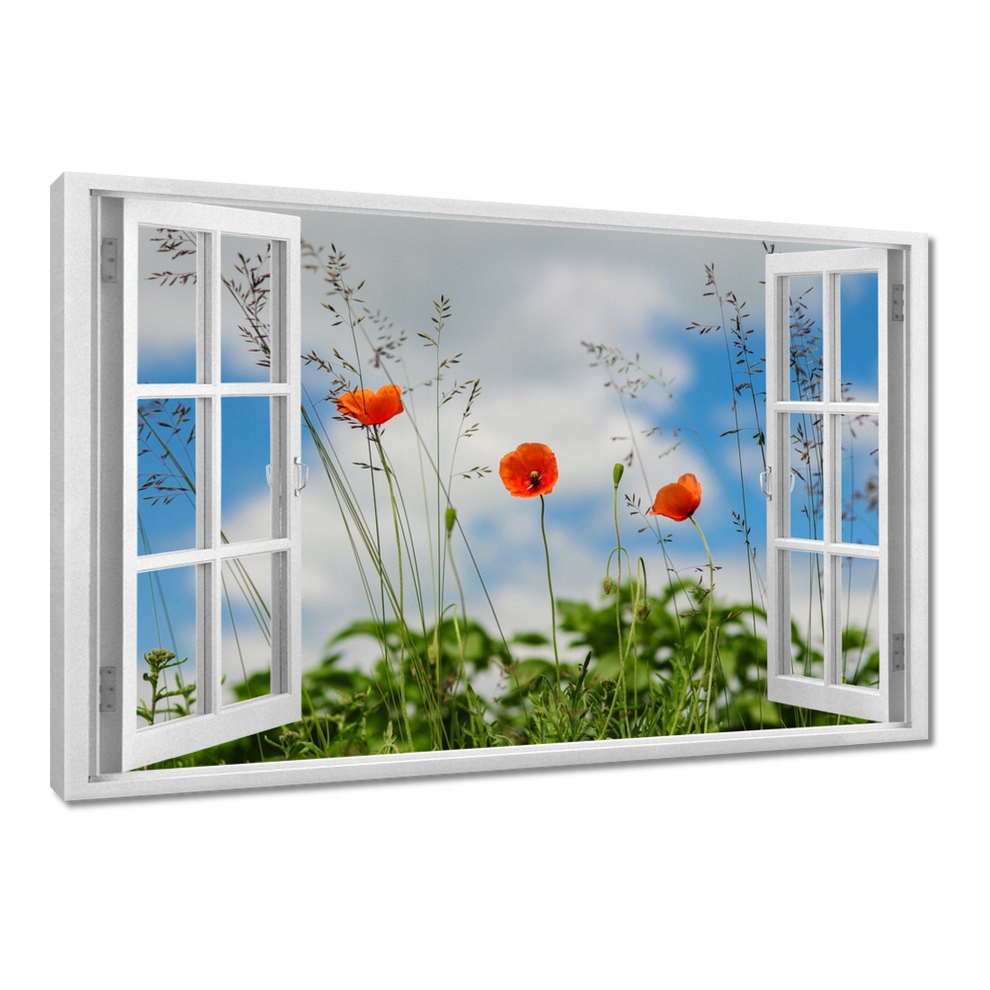 

Obrazy 120x80 Czerwone maki polne