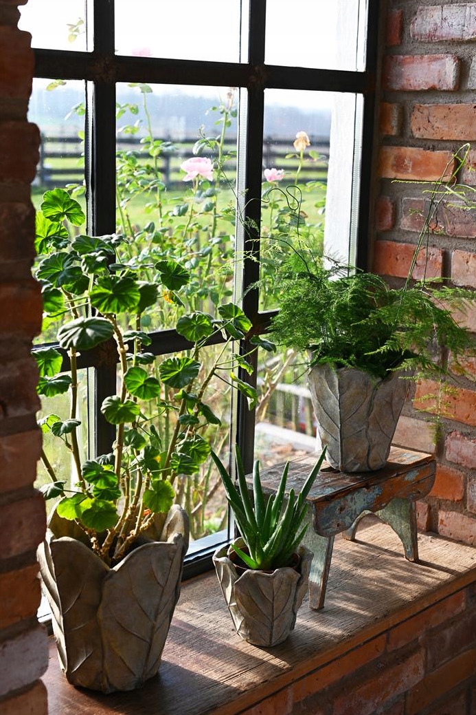 DONICZKA BEŻOWA SZARA LIŚĆ 14,5x13 OSŁONKA OZDOBNA Marka Donika