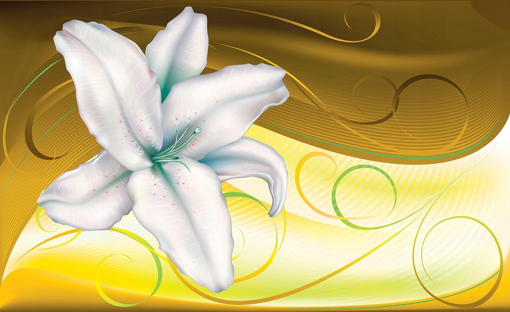 Fototapeta Bílá lilie jemnost a perspektiva elegance 312x219 lepidlo