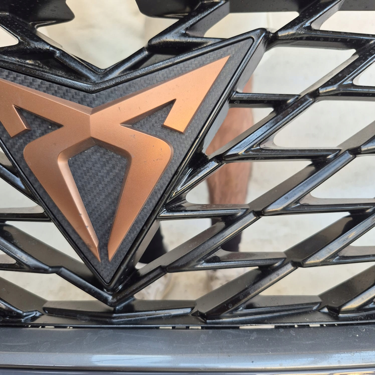 CUPRA FORMENTOR 5FF 20- bumper front front grill grid 5FF807221A