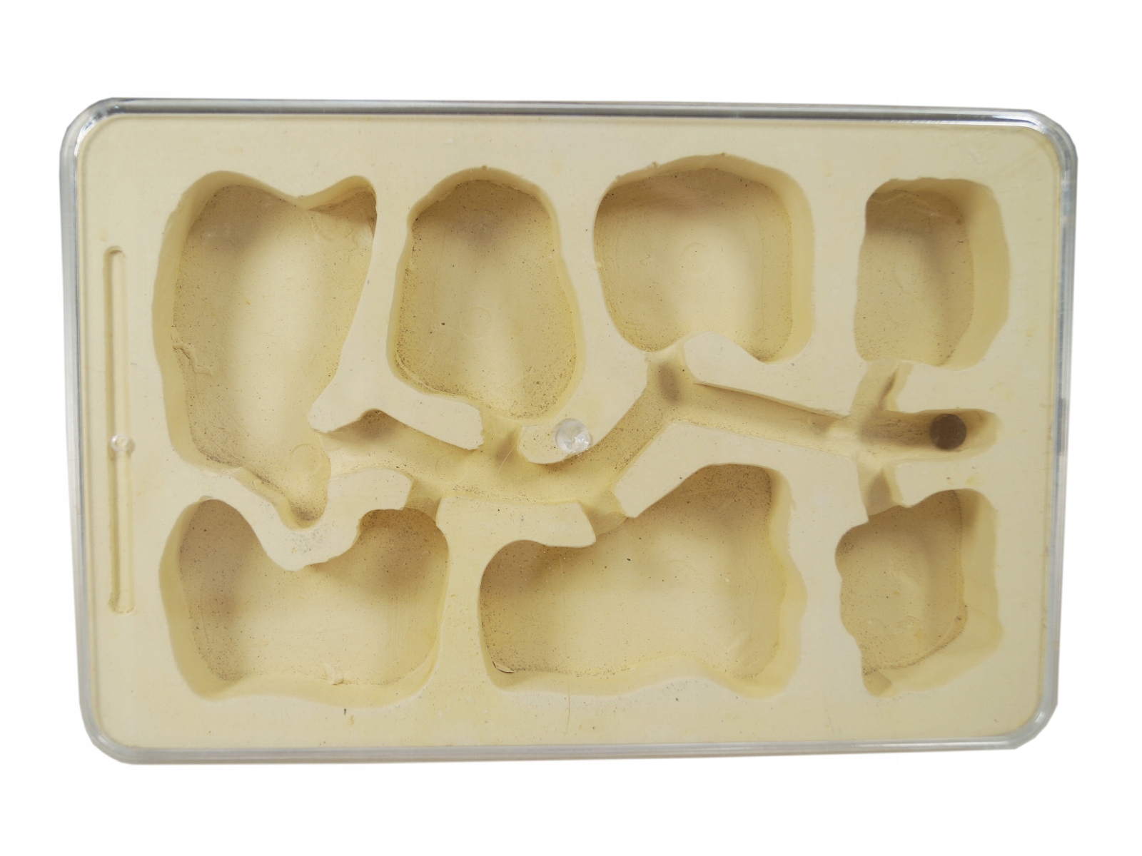 Levně Sádrové hnízdo pro formikárium Terarijní modul pro mravence 185x120 mm