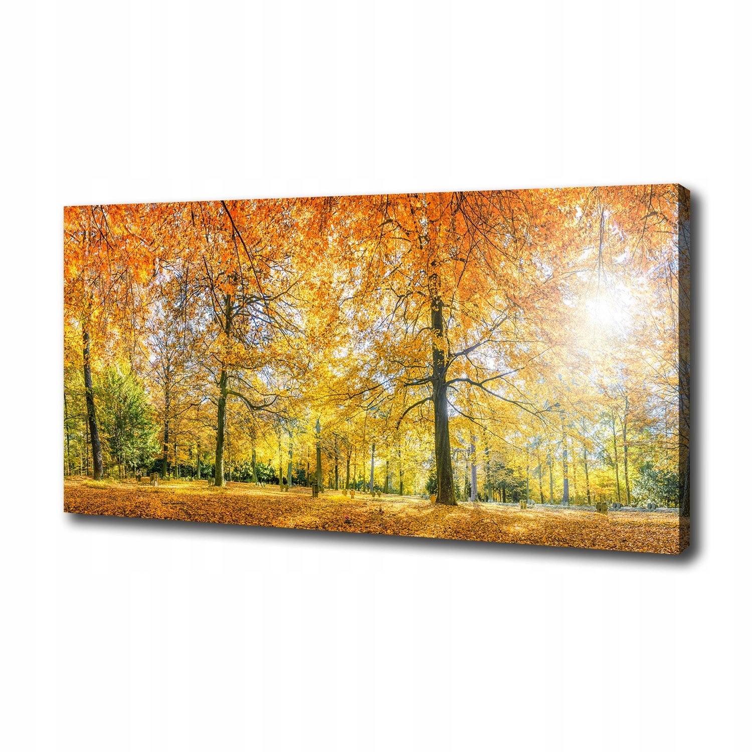 Velký foto obraz na plátně Les na podzim 100x50 cm