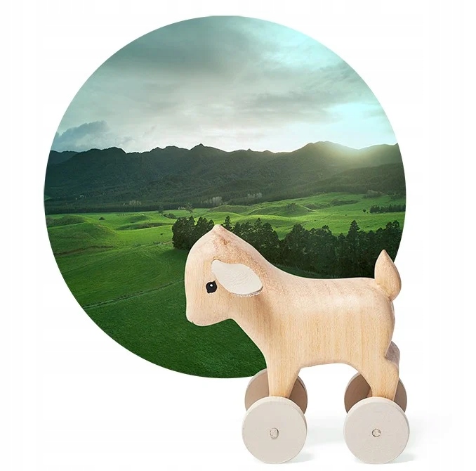 Mleko początkowe kozie 1 800g Capricare Stan opakowania oryginalne