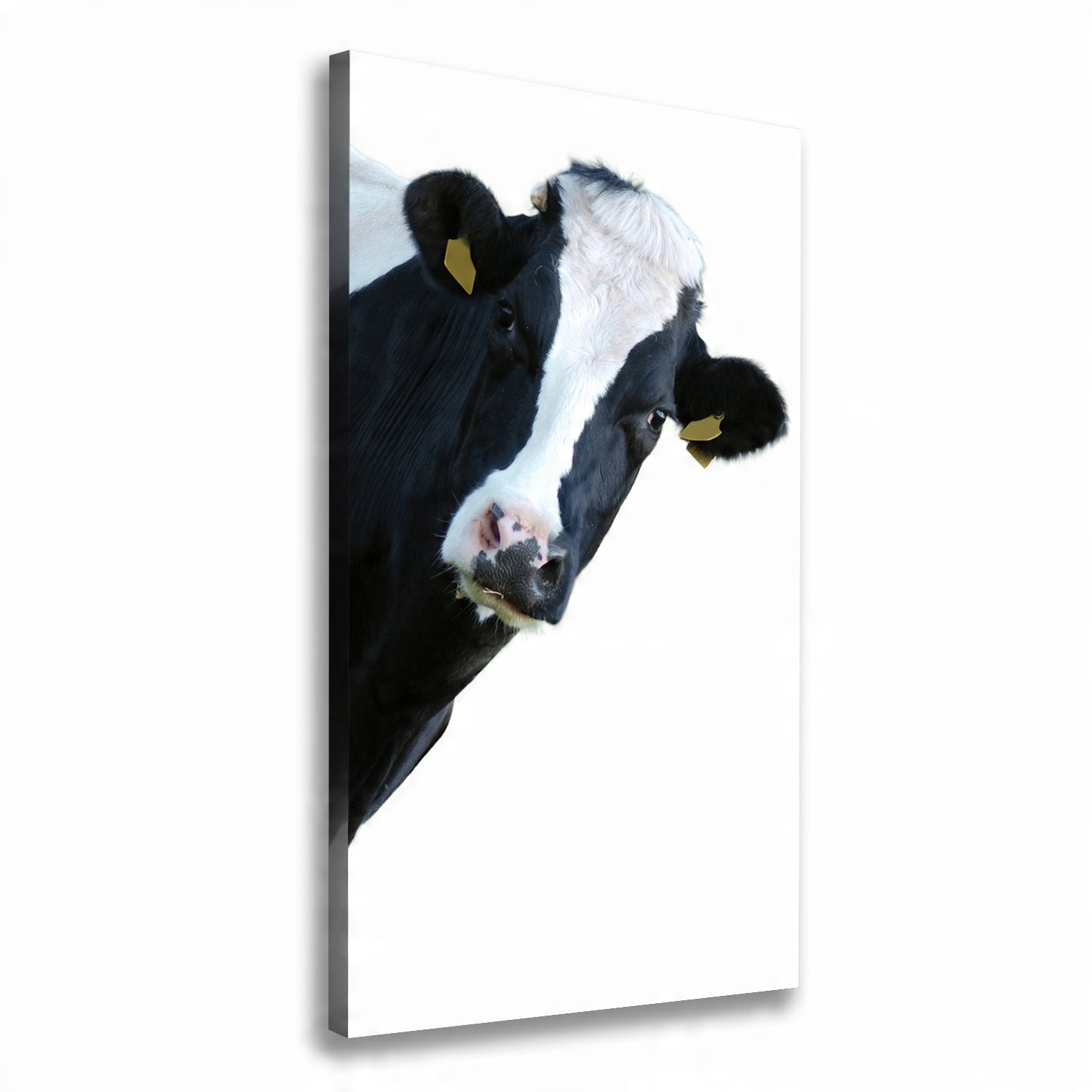 

Foto obraz na płótnie Łaciata krowa 60x120 cm