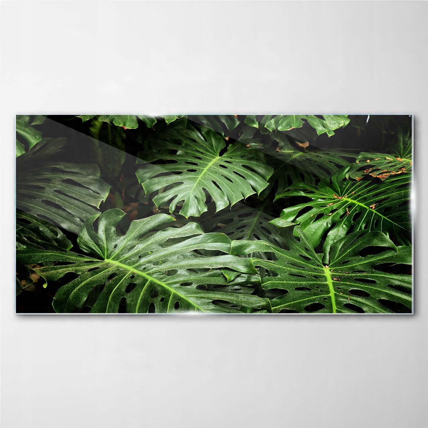 

Obraz szklany na ścianę Roślin liście 100x50 cm
