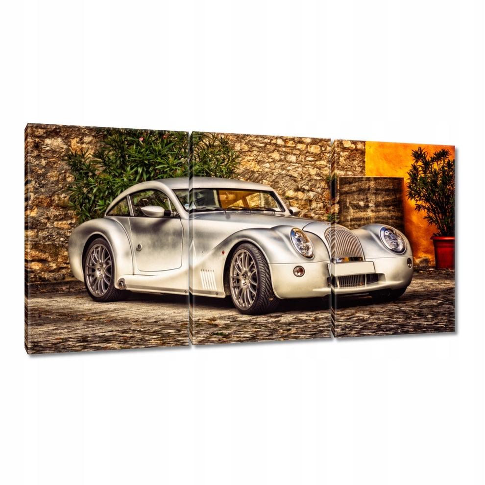 

Obrazy 120x60 Auto Samochód Fura Sport
