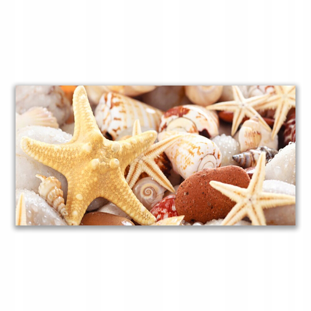 

Fotoobraz na ścianę 140x70 Rozgwiazda Muszle Plaża