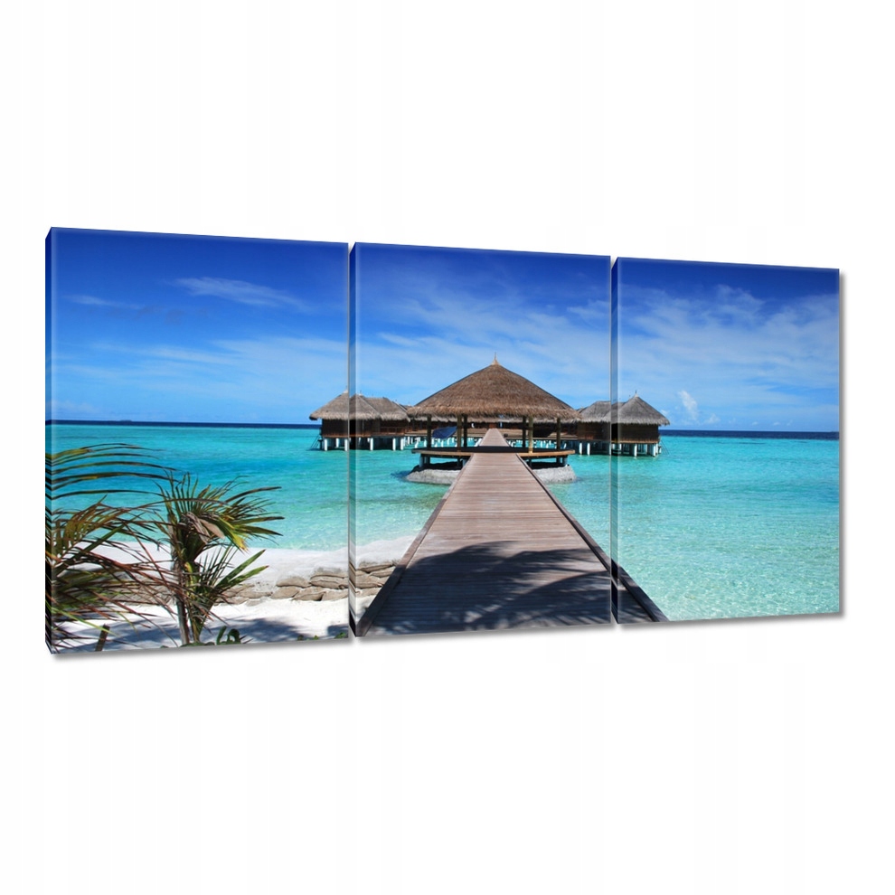

Obrazy 120x60 Tropiki