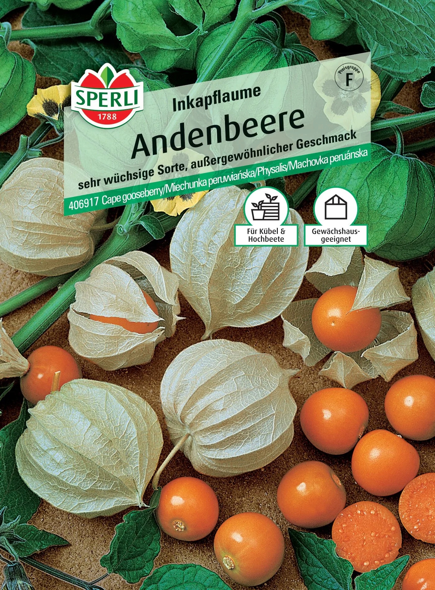 SPERLI Miechunka peruwiańska 'Inkapflaume' PREMIUM