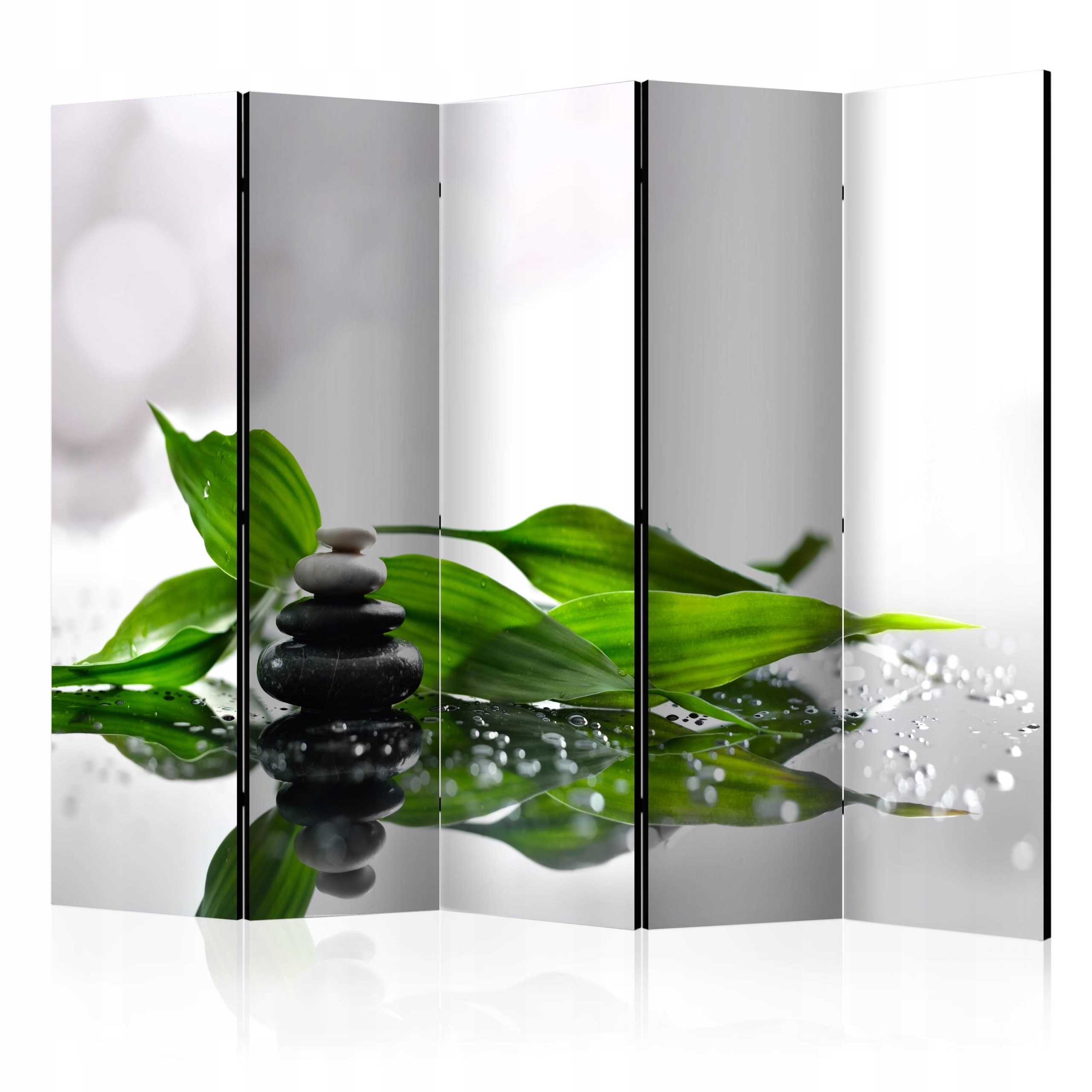 Dekorační Paraván Oboustranný b-B-0186-z-c