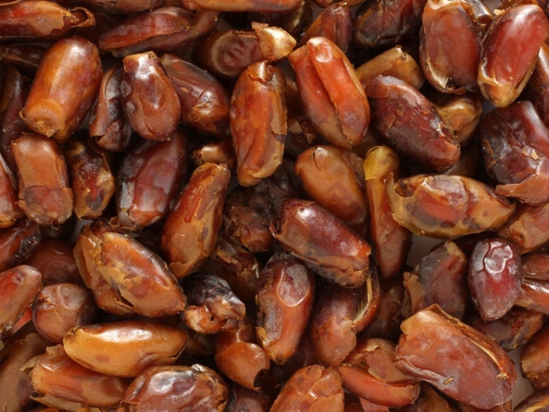 Daktyle suszone bez pestek 10 kg Naturalne Jakość