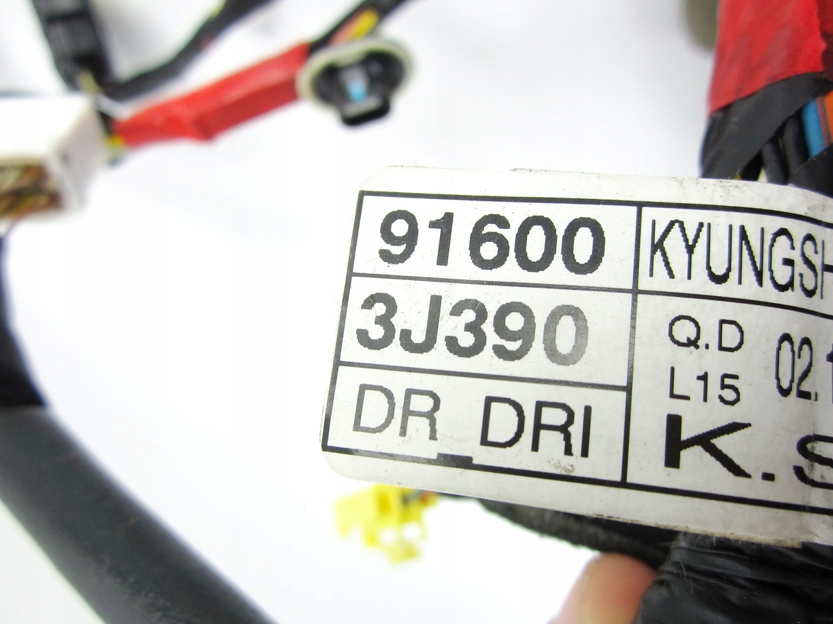 bundle wiring electrical door front front left Hyundai IX55
