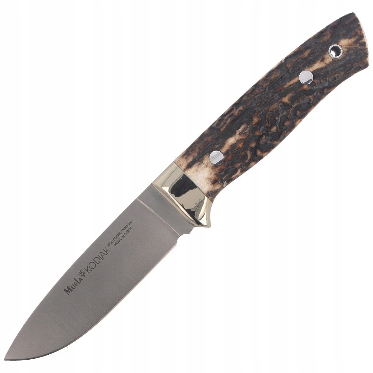 Nóż Muela Full Tang Deer Stag 100mm (KODIAK-10A)