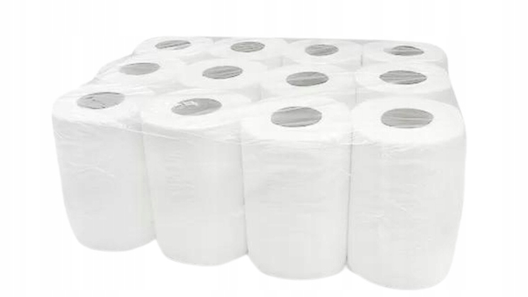 RĘCZNIK PAPIEROWY W ROLCE BIGS KOSMETYCZNY 12SZTUK Marka Bigs