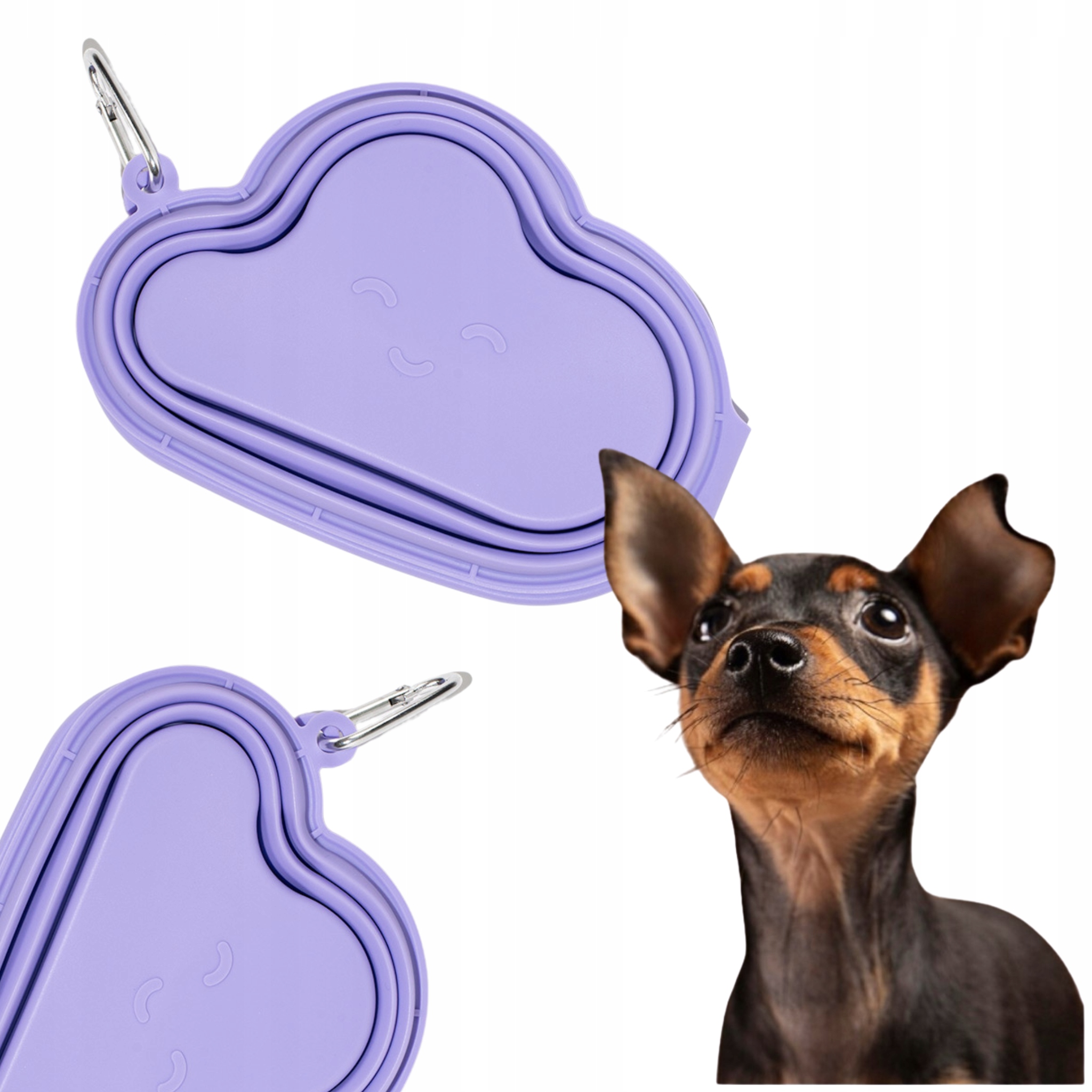 Levně Dvojitá skládací miska pro psa Cloudy Fialová