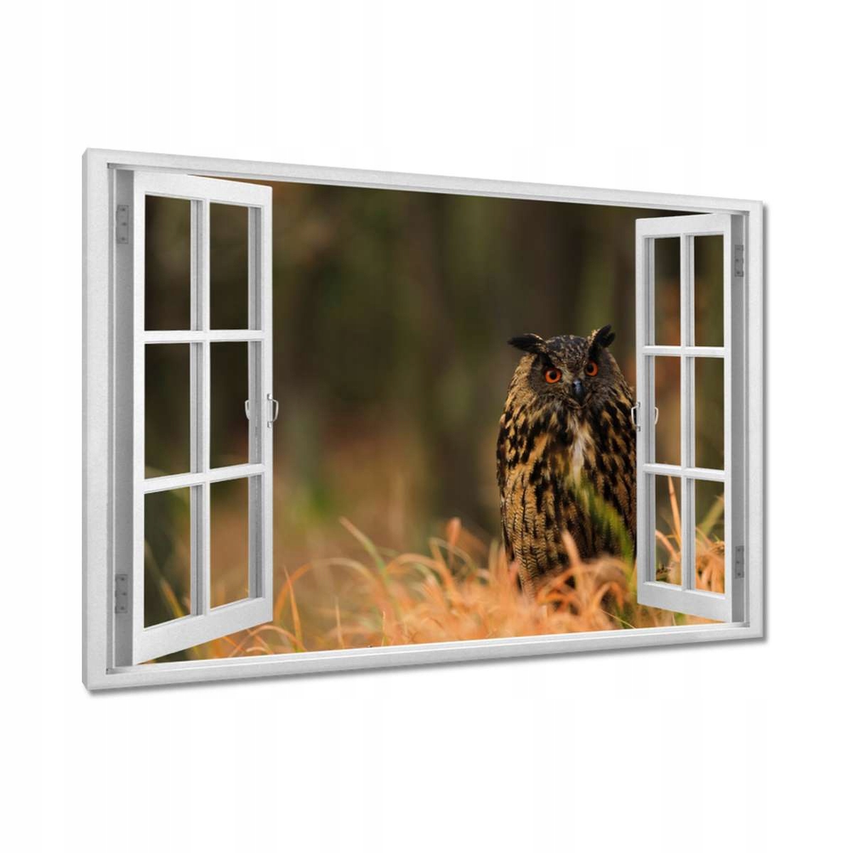 Obrazy 120x80 Ptáci