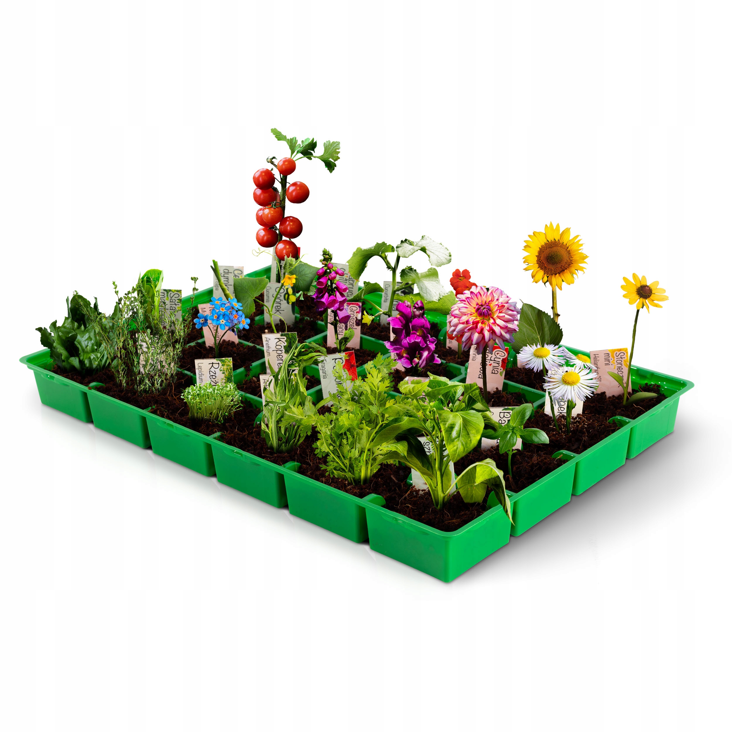 Адвент-календарь Purum Grow Joy, 24 пакетика семян и мини-теплица для выращивания — фото 4