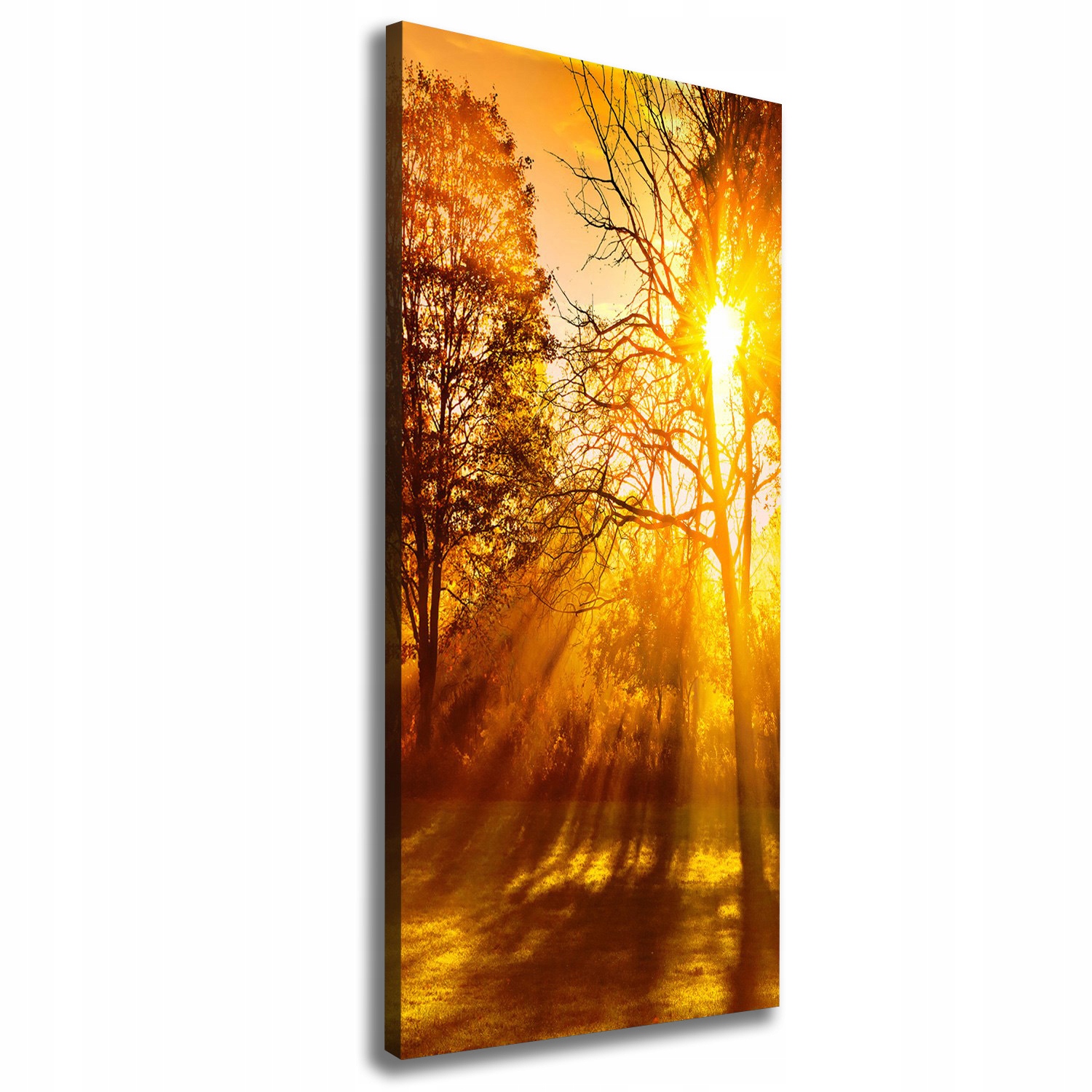 

Foto obraz na płótnie Park jesienią 50x125 cm