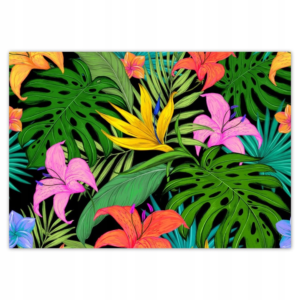 

Fototapety flizelina 416x290 Liście monstery