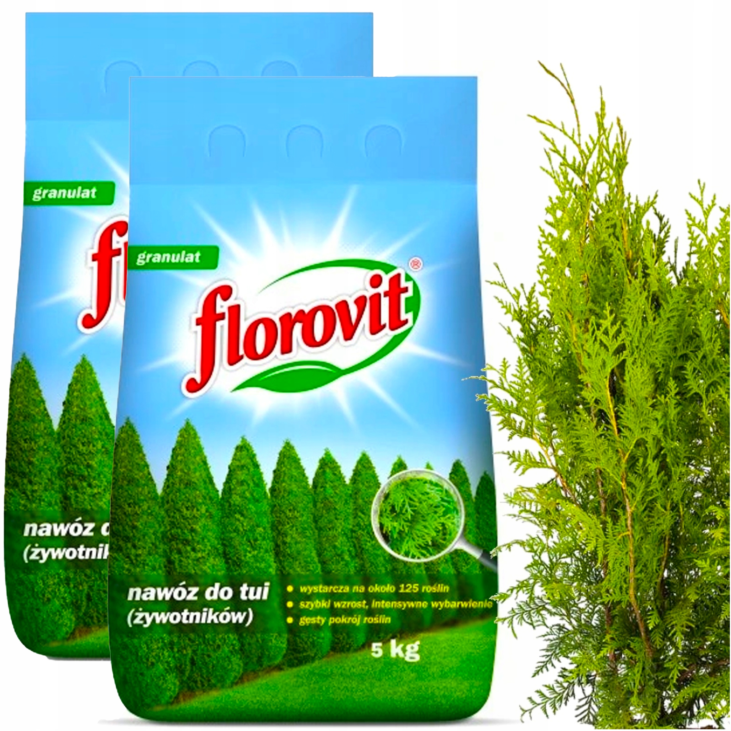 Nawóz Do Tui Tuji Iglaków Szybki Wzrost Gęste Igły Florovit 10 Kg