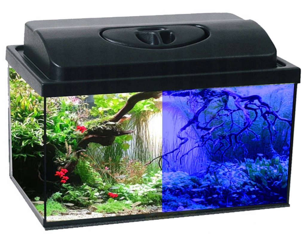 AKWARIUM 30L 40x25x30cm POKRYWA LED DZIEŃ/NOC+13 gratisów