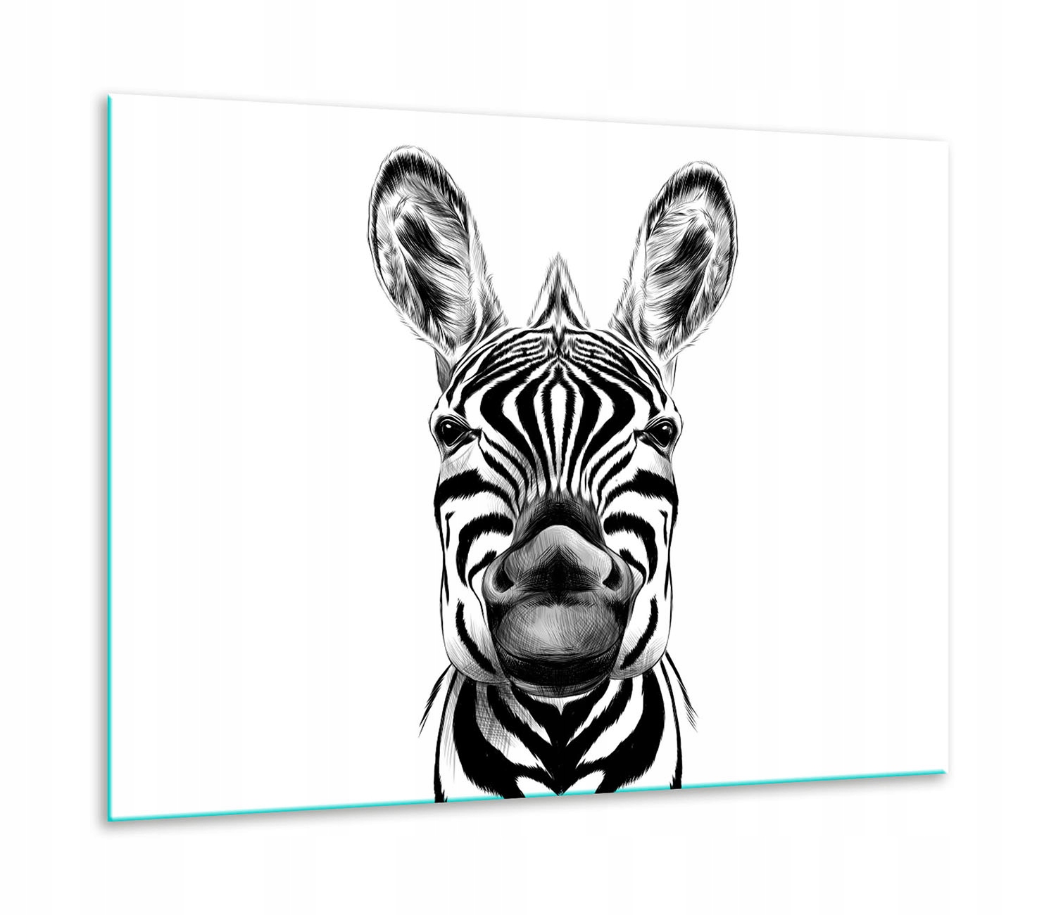 7v1 Skleněná Ochranná Deska Na Sporák 60x52 Zebra