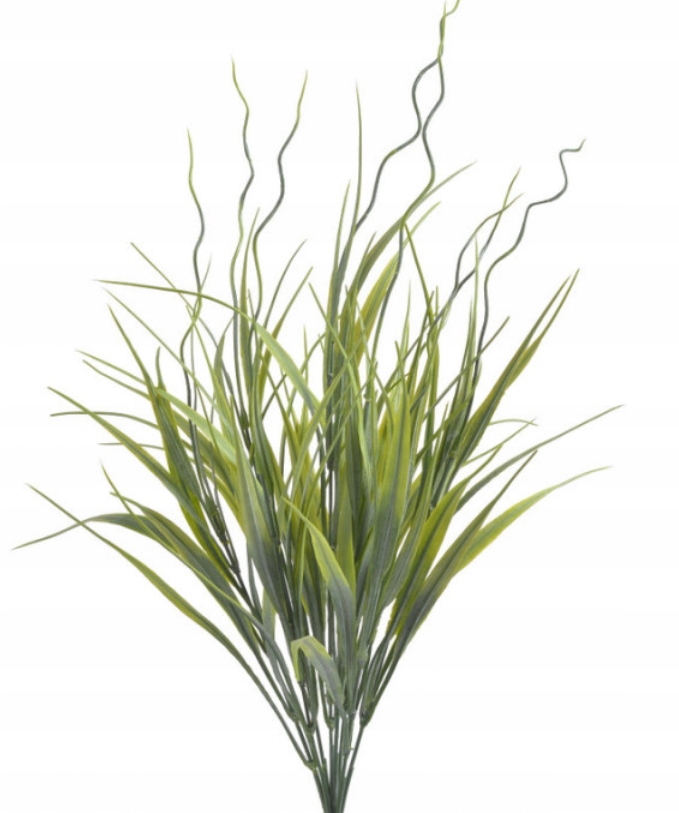 

Trawa Dracena Zielona Bukiet 8 gałązek 56cm