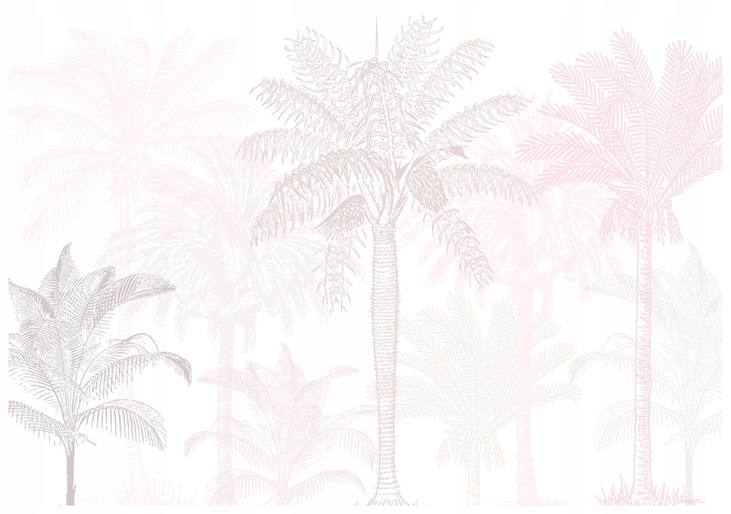 Fototapeta Palmy Růžová elegance linií na světlém pozadí 300x210 lepidlo