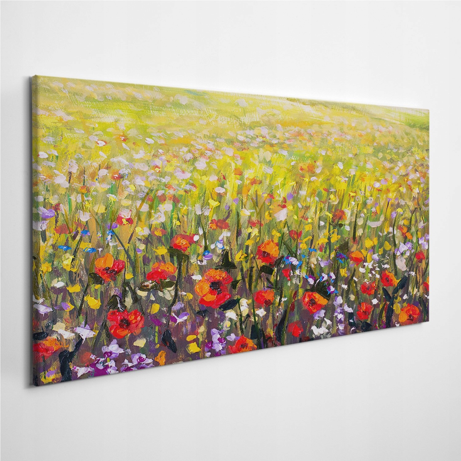 

Fotoobraz na płótnie Krajobraz Łąka Kwiaty 120x60
