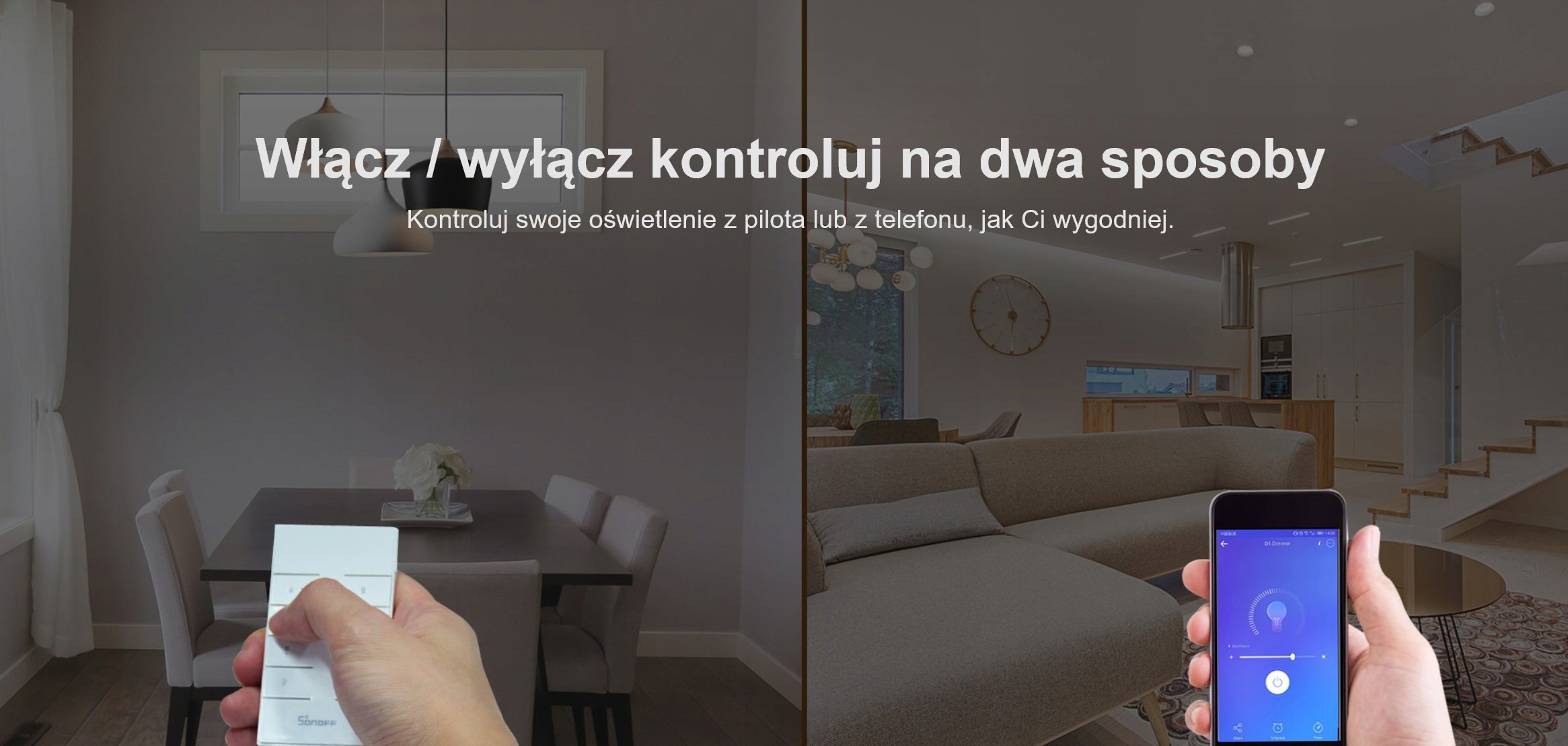 Sonoff Dimmer D1 WiFi ściemniacz światła 230V Rodzaj sterownik