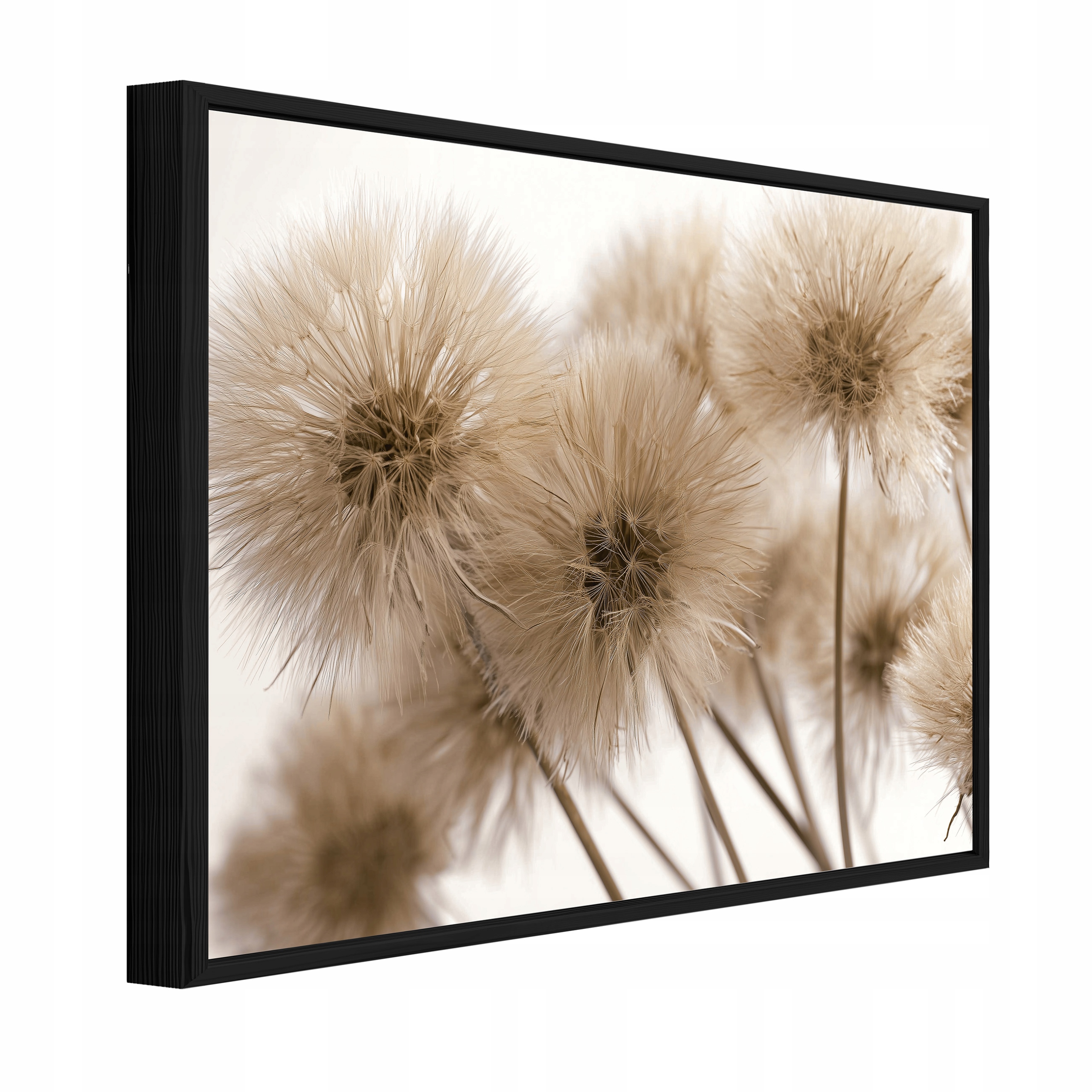 Obraz W Czarnej Ramie Na Płótnie Dmuchawce Boho Salon Sypialnia 60x40
