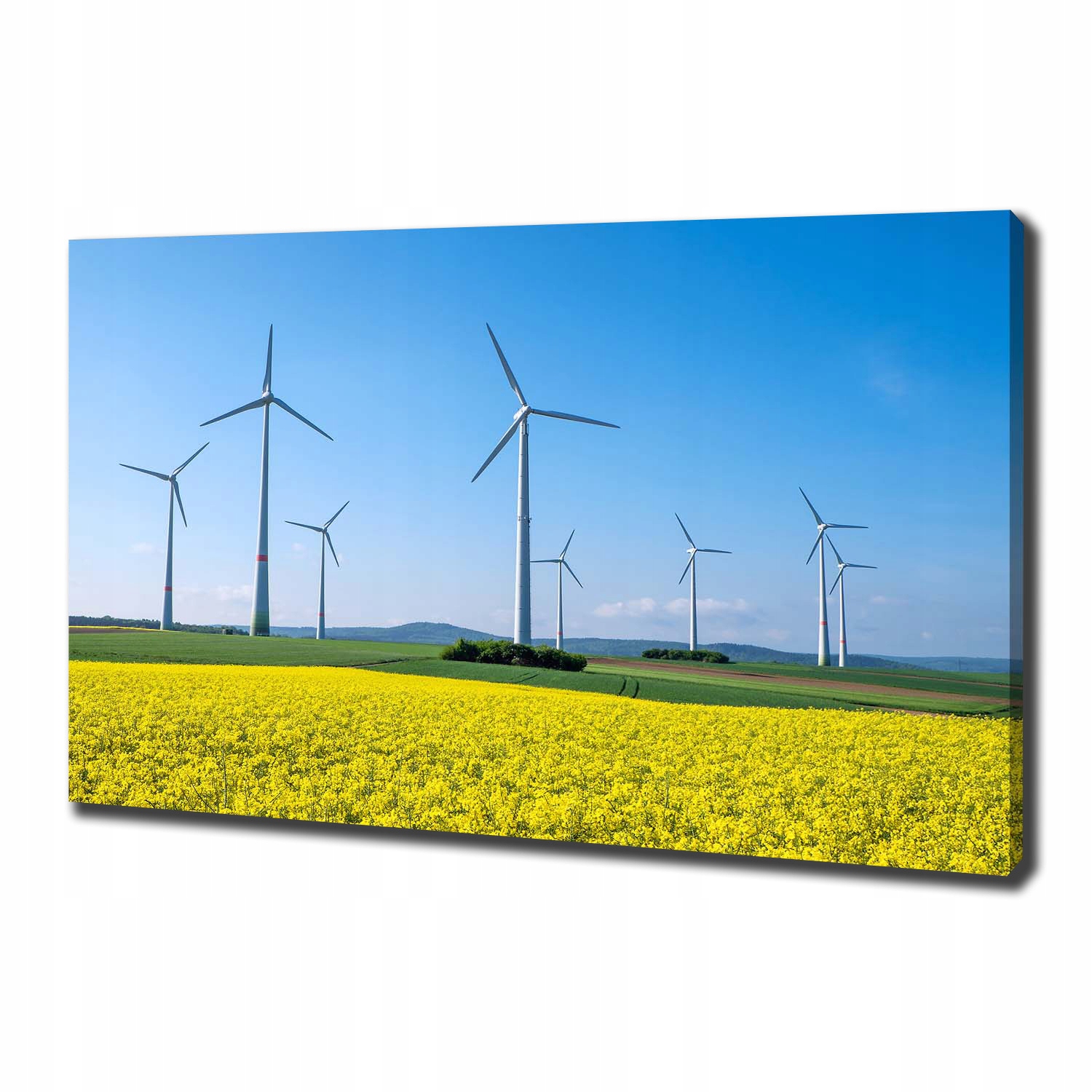 

Foto obraz na płótnie Wiatraki na polu 100x70 cm