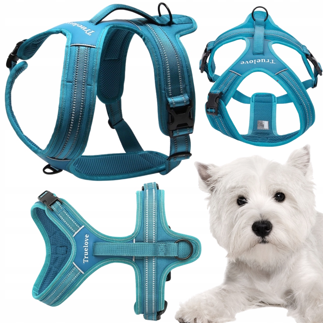 Levně Postroj Pro Psa Easy Walk Pevný S Rukojetí Truelove Security Modrý