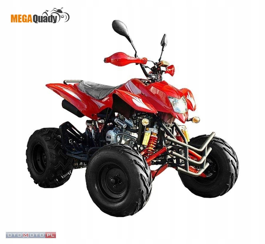 KIERUNKOWSKAZ QUAD ATV SHENKE 250 Producent Bashan