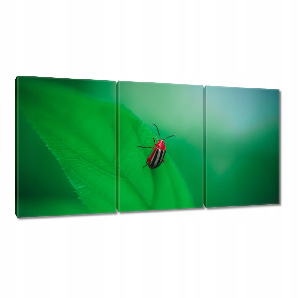 

Obrazy 120x60 Zwierzęta Zwierzątka