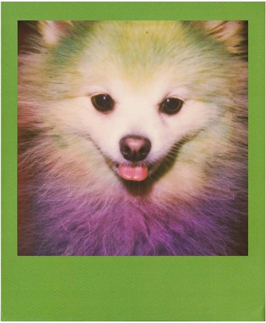 Картриджи Polaroid Color Film 600 Color Frame Brand Polaroid
