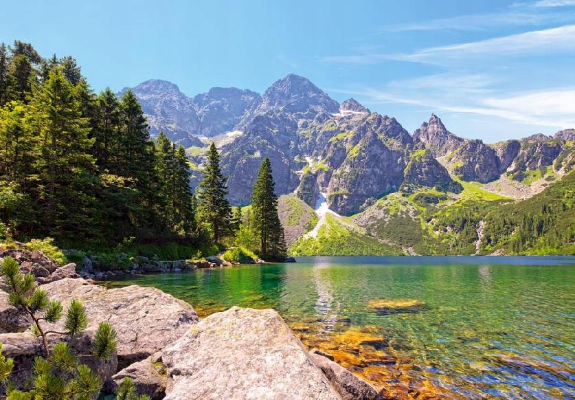 

Puzzle Krajobraz Góry Las Morskie Oko 1000 Castor