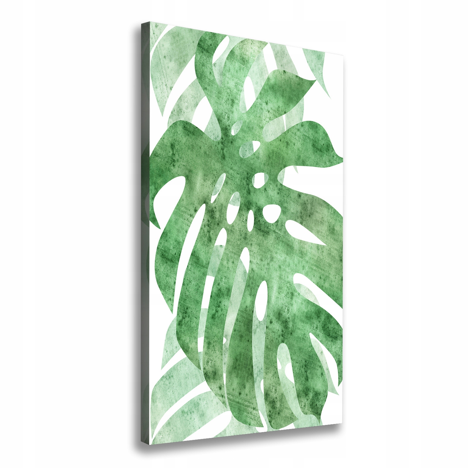 

Foto obraz na płótnie do salonu Monstera 50x100 cm