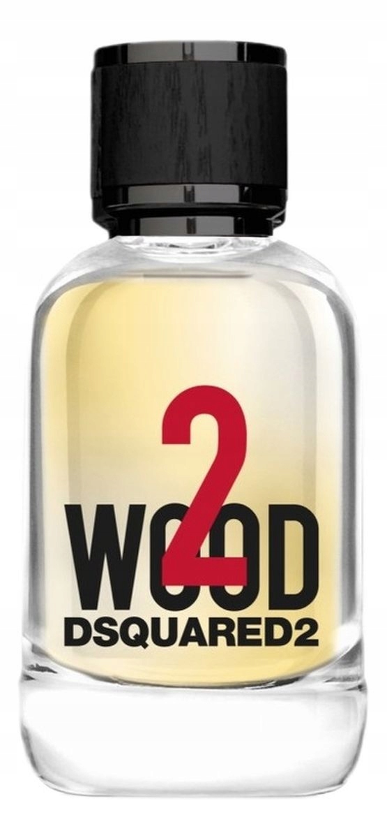 Dsquared2 2 Wood Toaletní voda sprej 50 ml